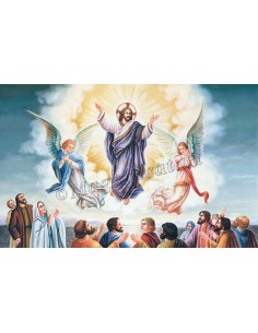 The Ascension of Our Lord