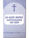 Saint-Esprit Sanctificateur des âmes